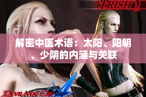 解密中医术语：太阳、阳明、少阴的内涵与关联