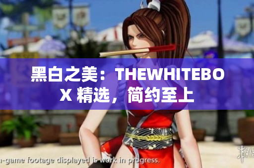 黑白之美：THEWHITEBOX 精选，简约至上