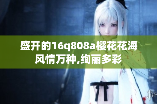 盛开的16q808a樱花花海风情万种,绚丽多彩