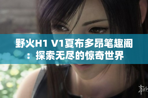 野火H1 V1夏布多昂笔趣阁：探索无尽的惊奇世界