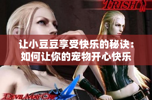 让小豆豆享受快乐的秘诀：如何让你的宠物开心快乐