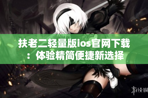 扶老二轻量版ios官网下载：体验精简便捷新选择