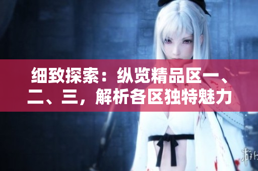 细致探索：纵览精品区一、二、三，解析各区独特魅力