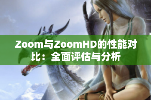 Zoom与ZoomHD的性能对比：全面评估与分析
