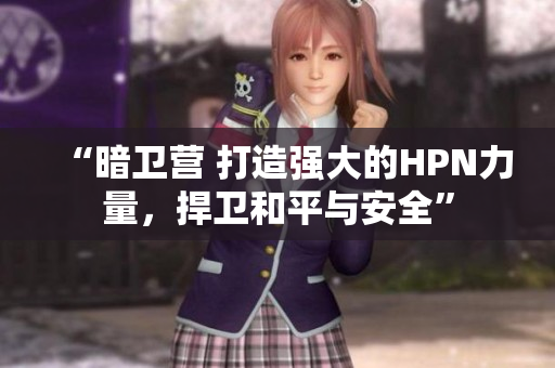 “暗卫营 打造强大的HPN力量，捍卫和平与安全”