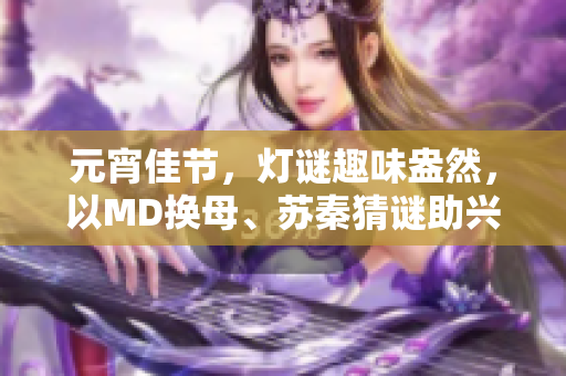 元宵佳节，灯谜趣味盎然，以MD换母、苏秦猜谜助兴
