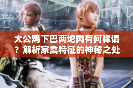 大公鸡下巴两坨肉有何称谓？解析家禽特征的神秘之处
