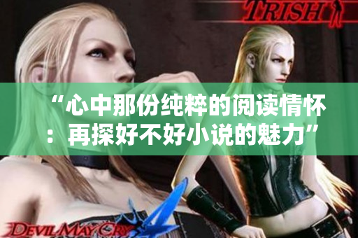 “心中那份纯粹的阅读情怀：再探好不好小说的魅力”