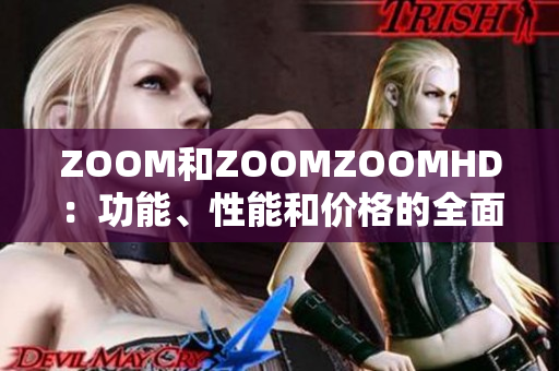 ZOOM和ZOOMZOOMHD：功能、性能和价格的全面对比