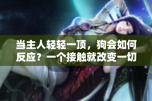当主人轻轻一顶，狗会如何反应？一个接触就改变一切的亲密时刻。