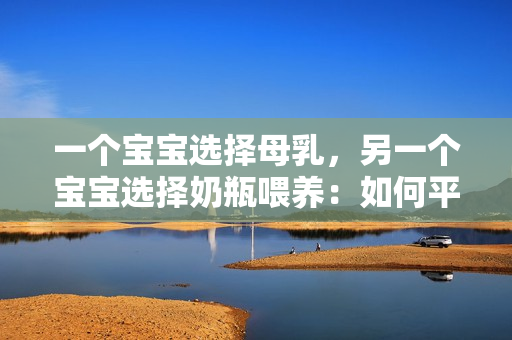 一个宝宝选择母乳，另一个宝宝选择奶瓶喂养：如何平衡哺乳和瓶喂的挑战