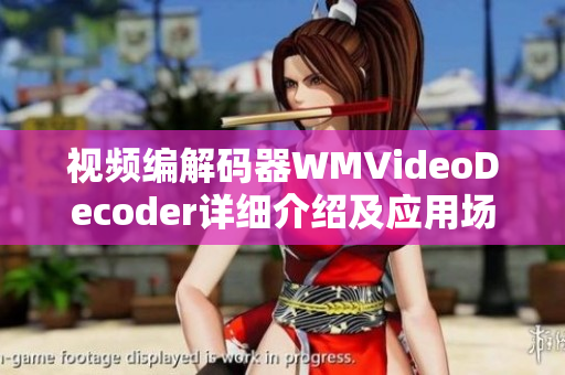视频编解码器WMVideoDecoder详细介绍及应用场景分析