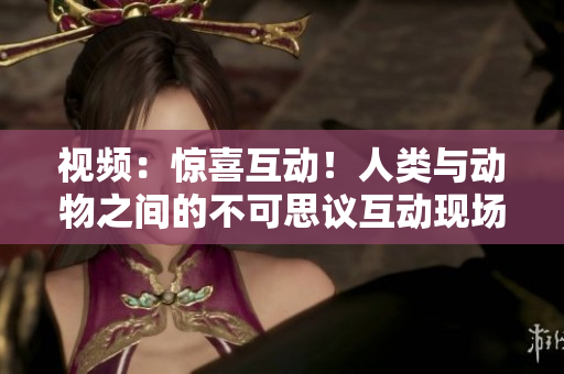 视频：惊喜互动！人类与动物之间的不可思议互动现场【高清下载】