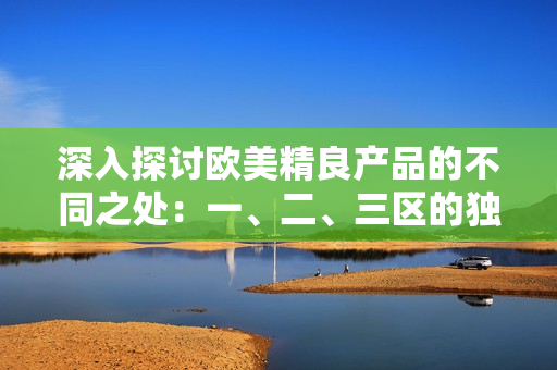 深入探讨欧美精良产品的不同之处：一、二、三区的独特特点与差异分析