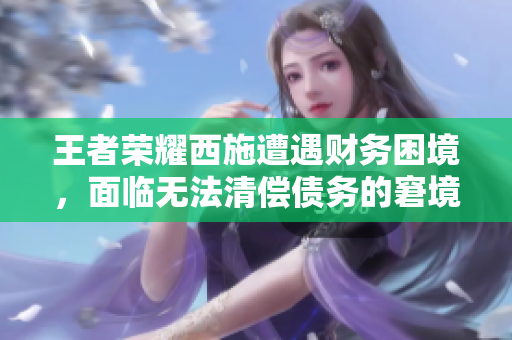 王者荣耀西施遭遇财务困境，面临无法清偿债务的窘境