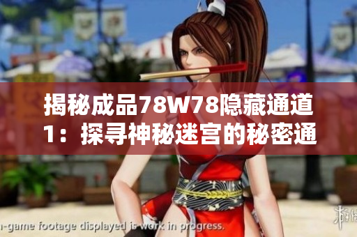揭秘成品78W78隐藏通道1：探寻神秘迷宫的秘密通道