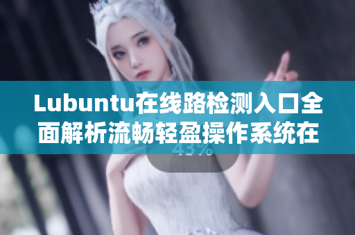 Lubuntu在线路检测入口全面解析流畅轻盈操作系统在线路检测功能详解