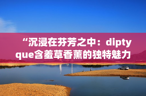 “沉浸在芬芳之中：diptyque含羞草香薰的独特魅力与舒缓效果”