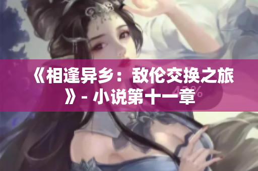 《相逢异乡：敌伦交换之旅》- 小说第十一章