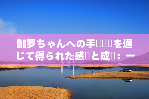 伽罗ちゃんへの手術経験を通じて得られた感動と成長：一匹犬の物語
