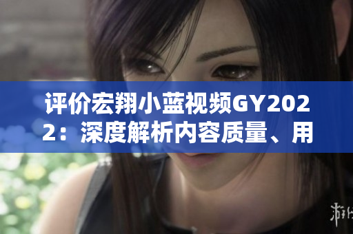 评价宏翔小蓝视频GY2022：深度解析内容质量、用户体验及技术创新
