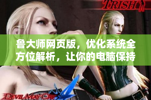 鲁大师网页版，优化系统全方位解析，让你的电脑保持良好状态