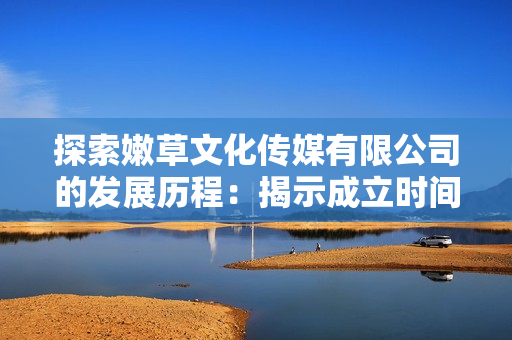 探索嫩草文化传媒有限公司的发展历程：揭示成立时间与关键事件背后的故事  