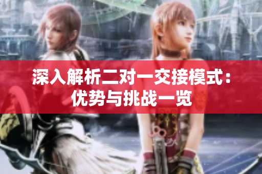 深入解析二对一交接模式：优势与挑战一览
