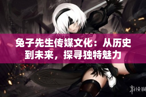 兔子先生传媒文化：从历史到未来，探寻独特魅力