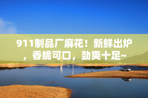 911制品厂麻花！新鲜出炉，香脆可口，劲爽十足~
