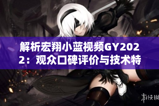 解析宏翔小蓝视频GY2022：观众口碑评价与技术特点综述