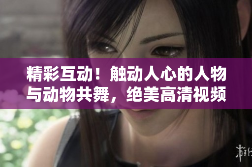 精彩互动！触动人心的人物与动物共舞，绝美高清视频素材即刻下载！