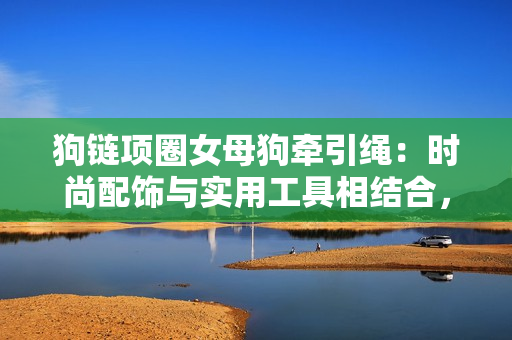 狗链项圈女母狗牵引绳：时尚配饰与实用工具相结合，带有铃铛设计增添乐趣