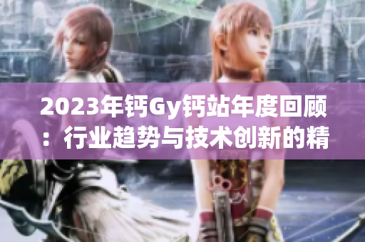 2023年钙Gy钙站年度回顾：行业趋势与技术创新的精彩分享