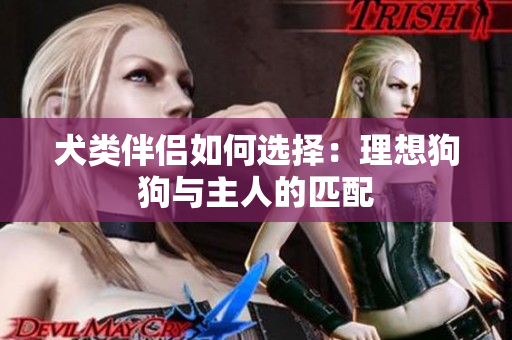 犬类伴侣如何选择：理想狗狗与主人的匹配