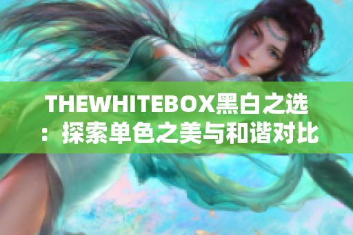 THEWHITEBOX黑白之选：探索单色之美与和谐对比