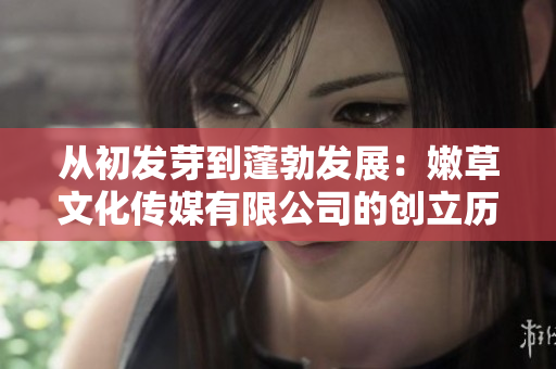 从初发芽到蓬勃发展：嫩草文化传媒有限公司的创立历程