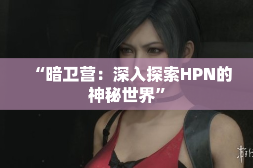 “暗卫营：深入探索HPN的神秘世界”