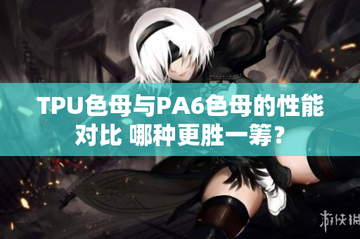 TPU色母与PA6色母的性能对比 哪种更胜一筹？