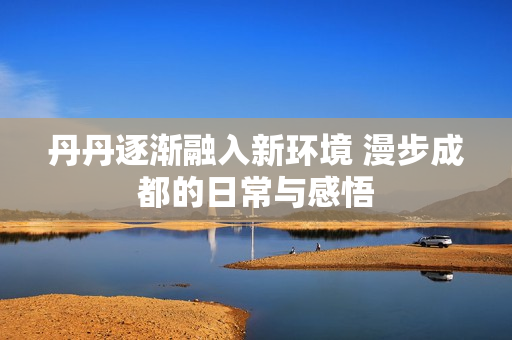 丹丹逐渐融入新环境 漫步成都的日常与感悟