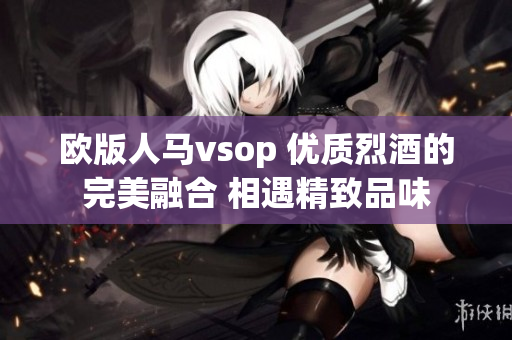 欧版人马vsop 优质烈酒的完美融合 相遇精致品味