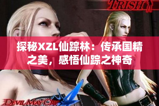 探秘XZL仙踪林：传承国精之美，感悟仙踪之神奇
