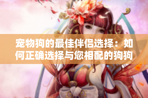 宠物狗的最佳伴侣选择：如何正确选择与您相配的狗狗