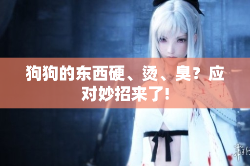 狗狗的东西硬、烫、臭？应对妙招来了!