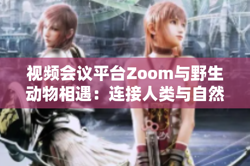 视频会议平台Zoom与野生动物相遇：连接人类与自然的新视角