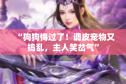 “狗狗悔过了！调皮宠物又捣乱，主人笑岔气”