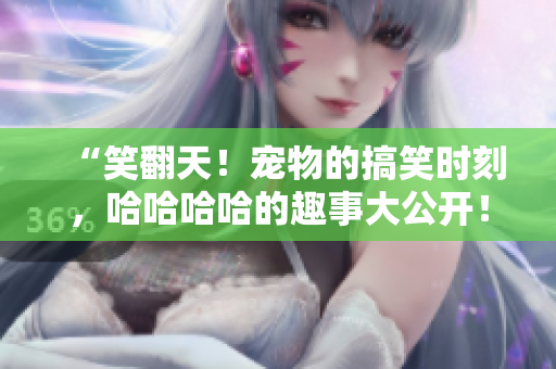“笑翻天！宠物的搞笑时刻，哈哈哈哈的趣事大公开！”
