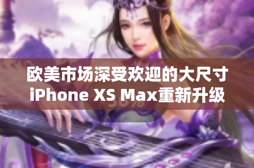 欧美市场深受欢迎的大尺寸iPhone XS Max重新升级
