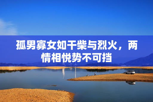 孤男寡女如干柴与烈火，两情相悦势不可挡