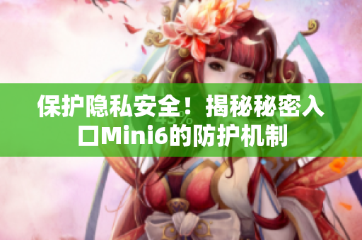 保护隐私安全！揭秘秘密入口Mini6的防护机制